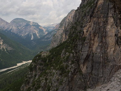 P7126143.jpg