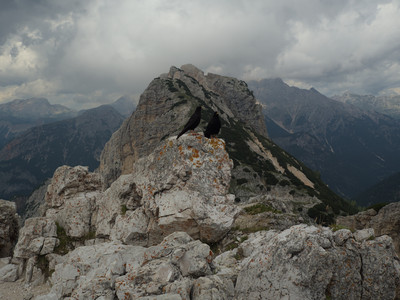 P7126286.jpg