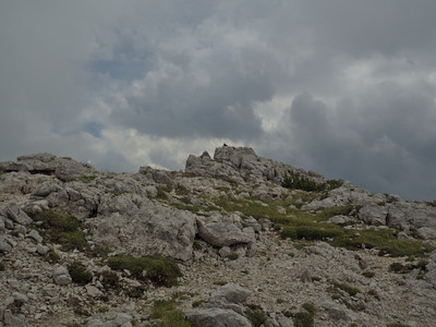 P7126294.jpg