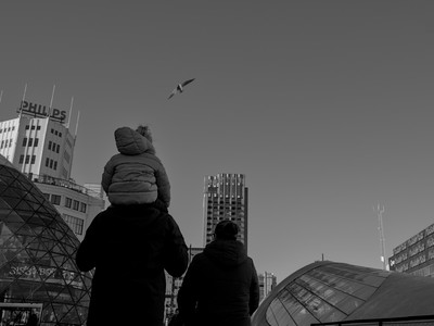 P2015285.jpg
