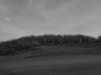 P2235666.jpg