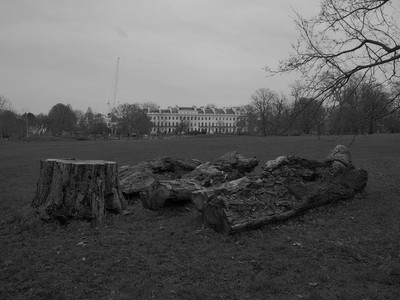 P2186427.jpg