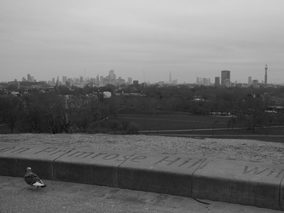 P2186434.jpg