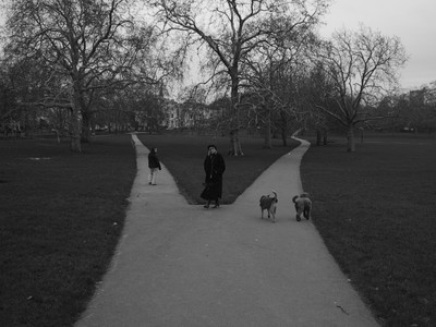 P2186437.jpg