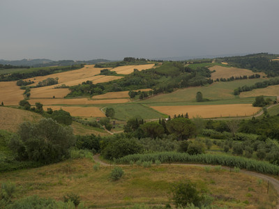 P7066036.jpg