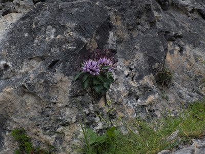 P7126169.jpg